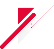 Trans81 Uluslararası Taşıma