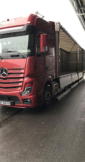 Trans81 Uluslararası Taşıma